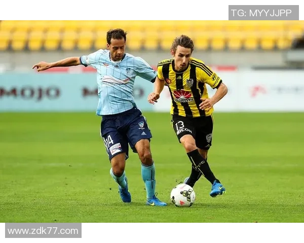 澳甲联赛精彩对决纽卡斯尔迎战凤凰队全力争胜展现实力