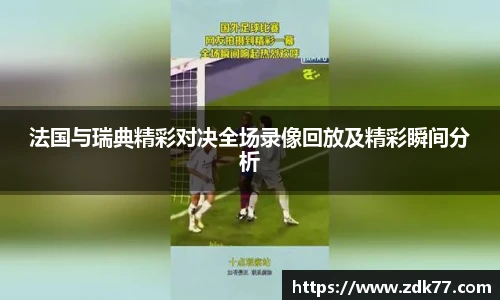 法国与瑞典精彩对决全场录像回放及精彩瞬间分析